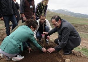 Ağaçlandırmaya Belediye desteği